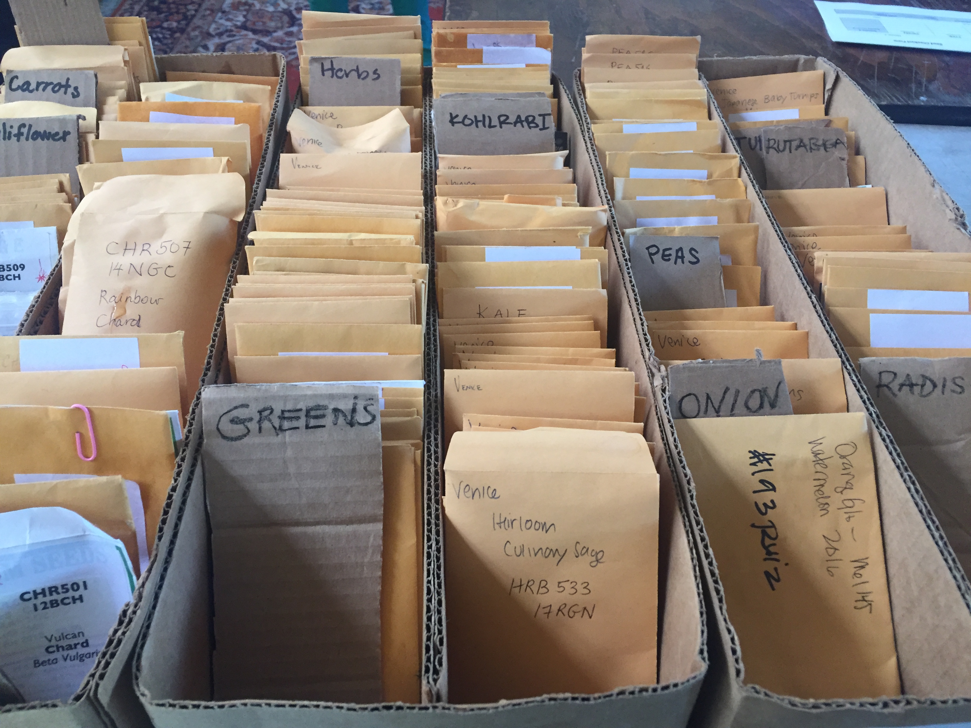 seed library of los angeles 