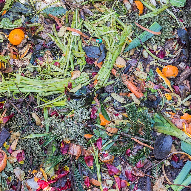 what to compost